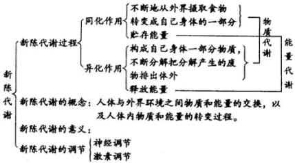 新陈代谢科技知识竞赛（关于新陈代谢的题目）-图2