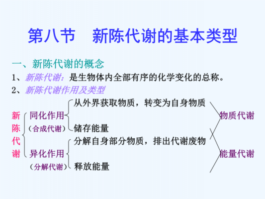 新陈代谢科技知识竞赛（关于新陈代谢的题目）-图3