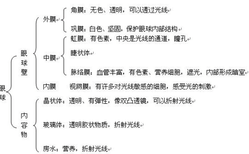 包含瞳孔识别科技知识点总结的词条-图1