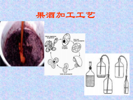 果酒制作科技知识点总结（果酒的制作过程及原理课件）-图1