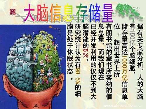 十大神奇的大脑科技知识（十大神奇的大脑科技知识有哪些）-图1