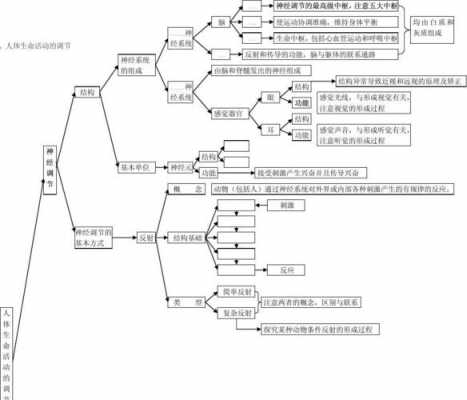 生物现代科技知识点总结（生物现代生物科技专题思维导图）-图2