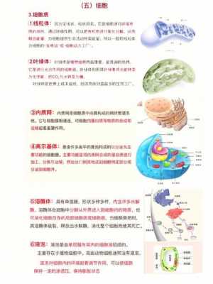 提干的科技知识有哪些方面（提干的科技知识有哪些方面的问题）-图3