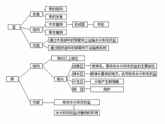 世界科技知识结构（世界科技知识结构有哪些）-图2