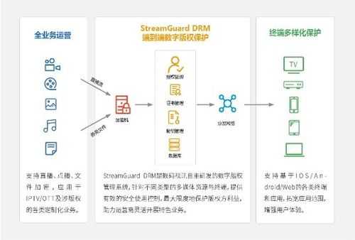 数码科技知识产权（数码视讯知识产权）-图1