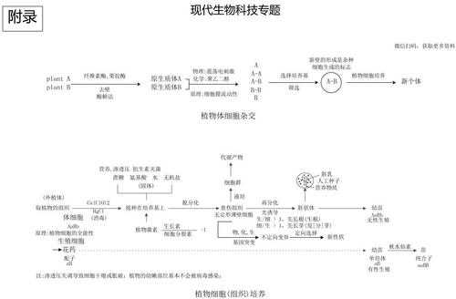 高中现代生物科技知识点（高中生物现代科技专题）-图2