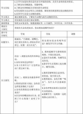 养鱼实用科技知识大全教案（养鱼的科学活动教案）-图3