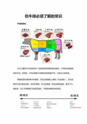 牛排中的科技知识点（牛排中的科技知识点是什么）-图1