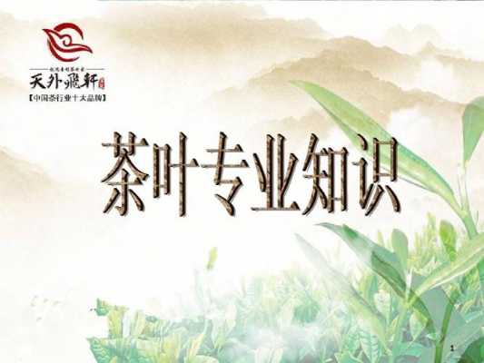 茶叶种植黑科技知识宣传（茶叶高效的种植技术ppt）-图3