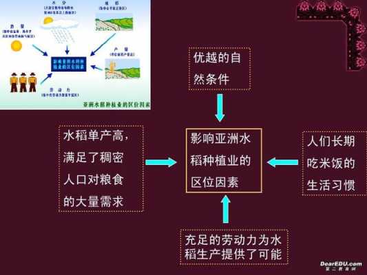 熟悉粮食种植科技知识点（熟悉粮食种植科技知识点归纳）-图3