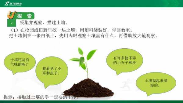 土壤种植科技知识培训课件（土壤科普知识）-图1