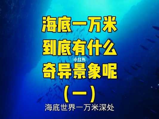 海底一万米的科技知识（海底一万米有些什么）-图2