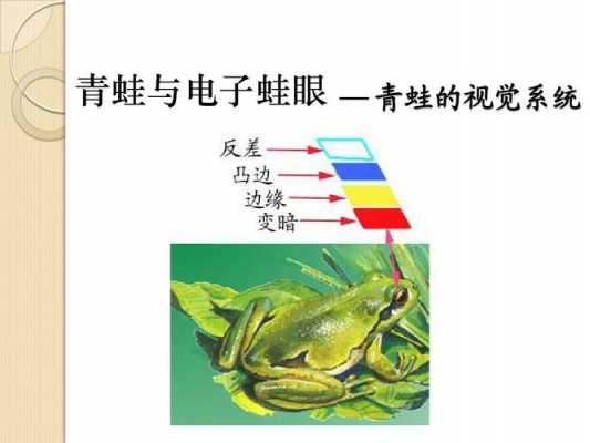 青蛙的仿生科技知识的简单介绍-图1