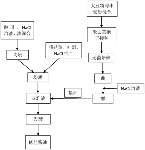 酱油的制作科技知识手抄报（酱油的制作流程图）-图2