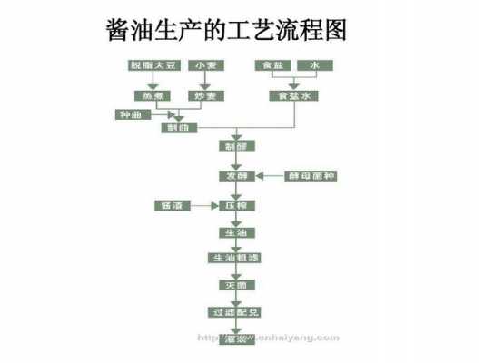 酱油的制作科技知识点汇总（酱油的制作工艺流程）-图1