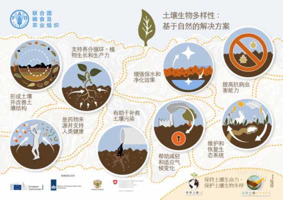 土壤种植科技知识大全（土壤科普）-图2