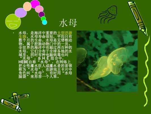 海底的生物与科技知识（海底生物的有趣知识）-图3