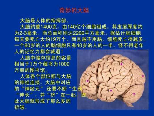 大脑健康的科技知识点是什么（大脑健康的科技知识点是什么呢）-图3