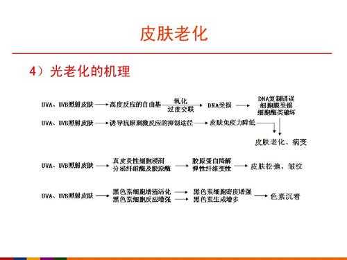 护肤品抗衰科技知识点图（护肤品抗衰老的原理是什么）-图1