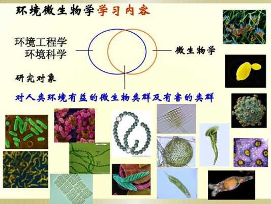 有关环境微生物的科技知识（环境微生物的应用）-图1