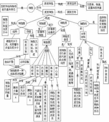 生物科技知识图谱图片素材（生物技术科普资料）-图2