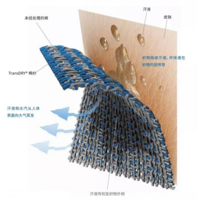 吸湿速干面料的科技知识（吸湿速干纺织品的发展）-图1