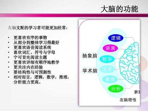 深入大脑的科技知识点总结（大脑及相关知识和技术）-图3