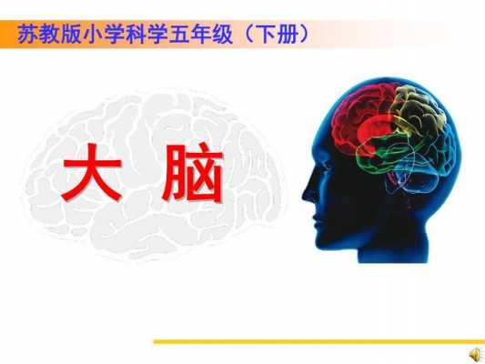 大脑里有什么科技知识呢（大脑的科学叫法）-图1