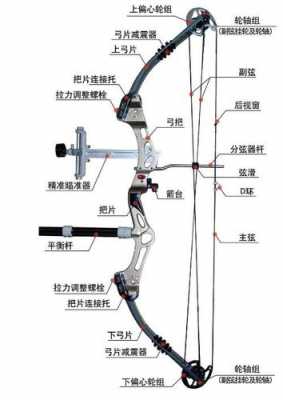 复合弓的科技知识介绍怎么写（复合弓的结构和激发原理）-图1