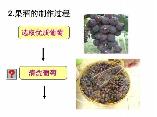 果酒制作科技知识大全视频（果酒的制作过程及原理课件）-图3