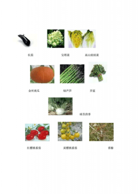 蔬菜保存科技知识大全（蔬菜保存科技知识大全集）-图1