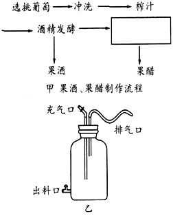 果酒制作科技知识点（果酒的制作实验设计）-图3