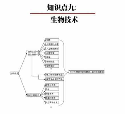 现代生物科技知识框架图（现代生物技术知识点整理）-图3