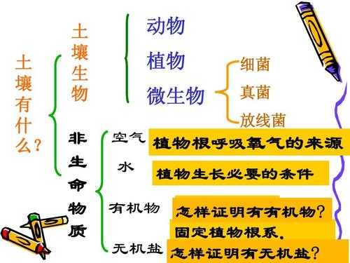 土壤种植科技知识点汇总（土壤科普知识）-图2