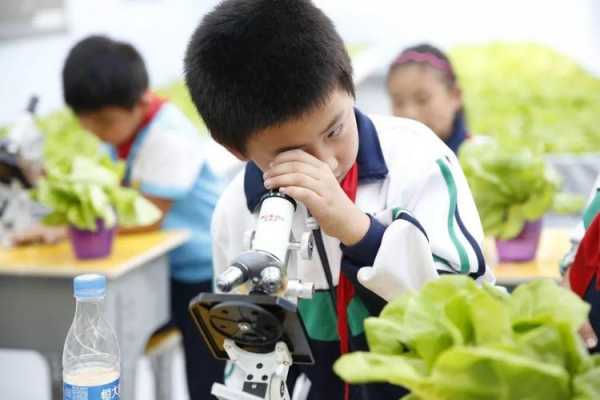 小学生农业科技知识小课堂（小学生农业科普知识资料）-图2