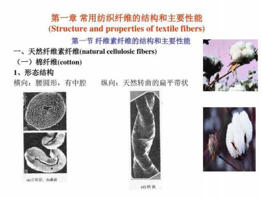 纤维植入科技知识（纤维植入科技知识点总结）-图2