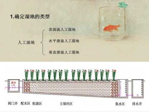 湿地科技知识问答题目及答案（湿地科普活动课程设计）-图3