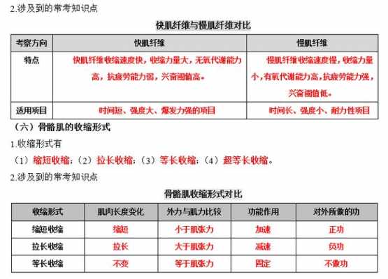 练肌肉有哪些科技知识（练肌肉有哪些科技知识点）-图3