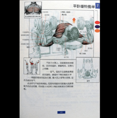 练肌肉有哪些科技知识（练肌肉有哪些科技知识点）-图2