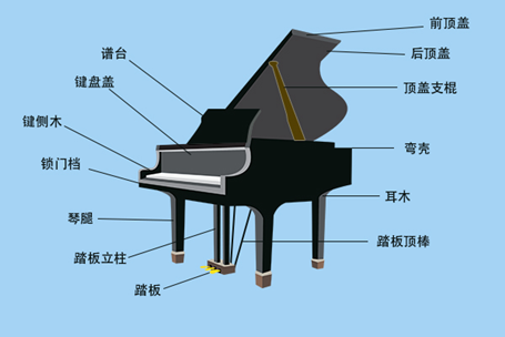 钢琴黑科技知识有哪些（钢琴科普知识）-图1