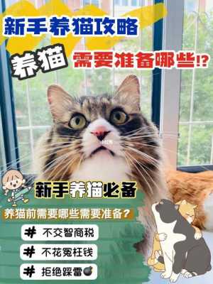 养猫必备科技知识大全视频（养猫咪知识大全）-图3