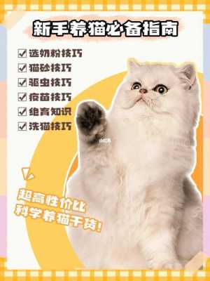 养猫必备科技知识大全视频（养猫咪知识大全）-图2