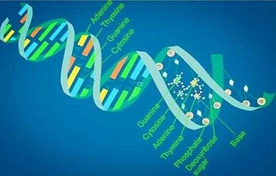 最前沿生物科技知识（生物最新科技前沿）-图3