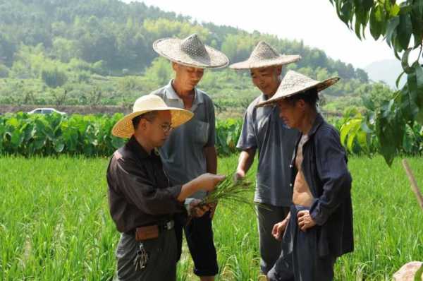 广州农村居民科技知识（农民科技知识宣传）-图3