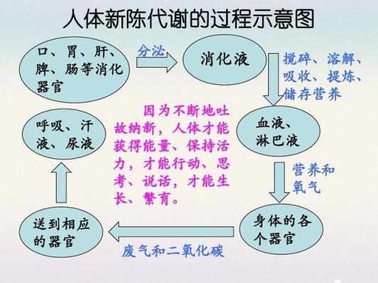 新陈代谢科技知识大全图片（新陈代谢的概念图）-图1