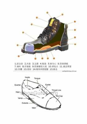 运动鞋科技知识大全（运动鞋科技知识大全图解）-图1