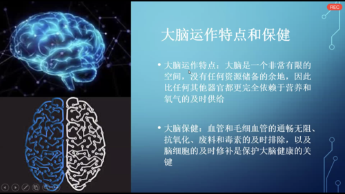 大脑健康的科技知识点总结（大脑健康的表现）-图1