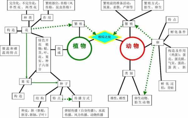 科技知识体系构建包括哪些（科技基本知识）-图3