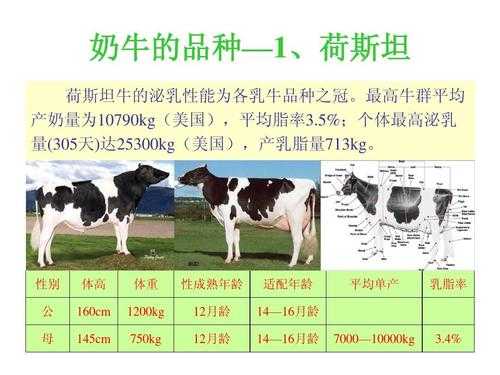 奶牛饲养科技知识竞赛答案（奶牛科学养殖技术）-图1