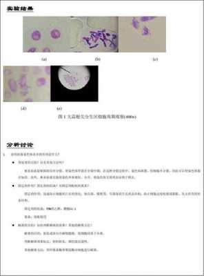 植物染色科技知识培训总结（植物染色实验报告）-图1